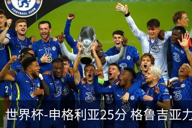 世界杯-申格利亚25分 格鲁吉亚力克委内瑞拉