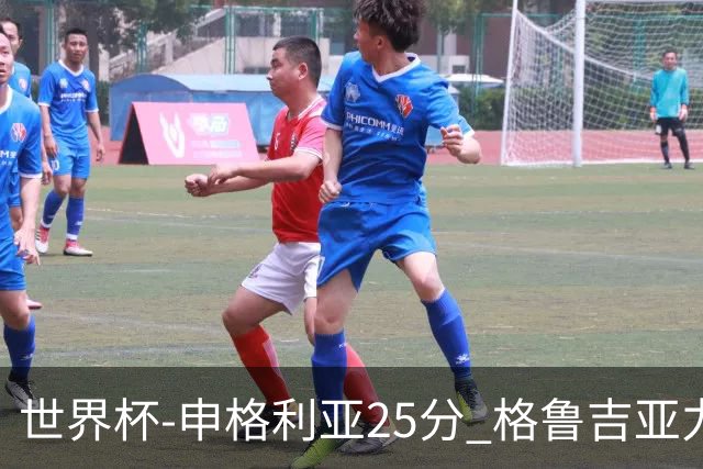 世界杯-申格利亚25分 格鲁吉亚力克委内瑞拉