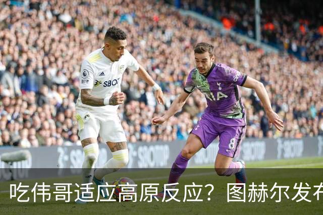 吃伟哥适应高原反应？图赫尔发布会开怀大笑 现场辟谣